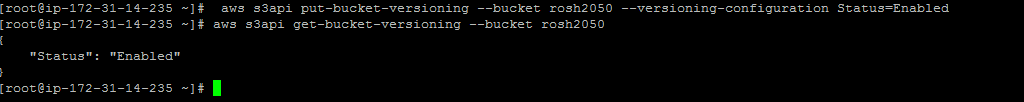 Enable versioning in s3 bucket using command 8 1