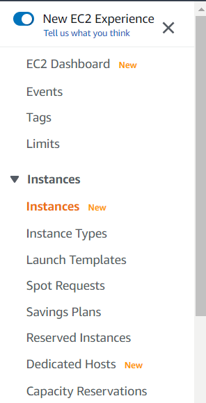 click on instances 2