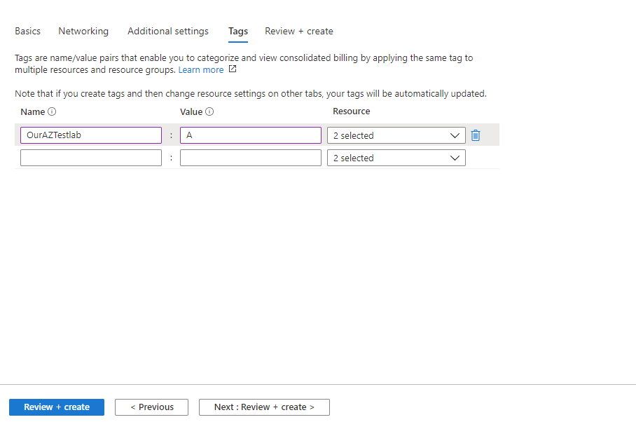 input tags 6