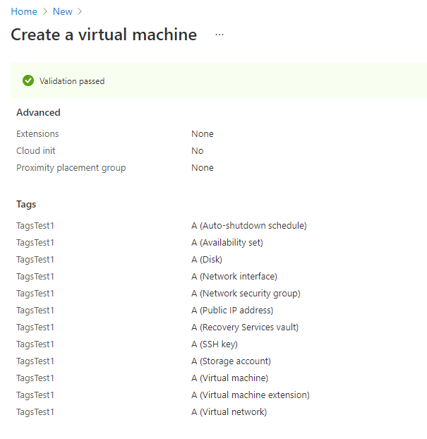 review vm 19