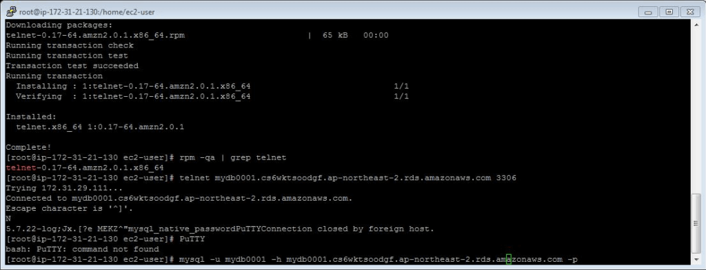 input rds endpoing and port 12