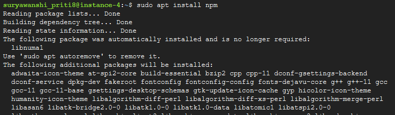 1 install npm