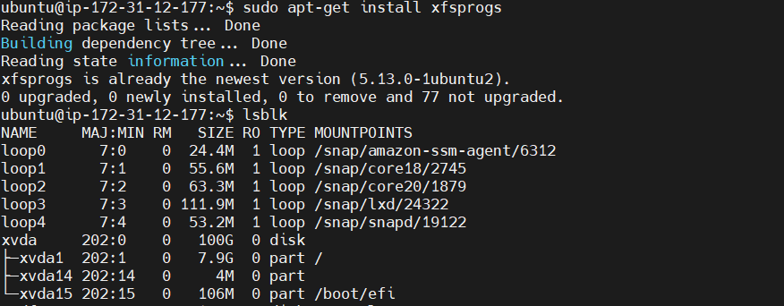 How to Mount EBS Volume to EC2 Instance 1