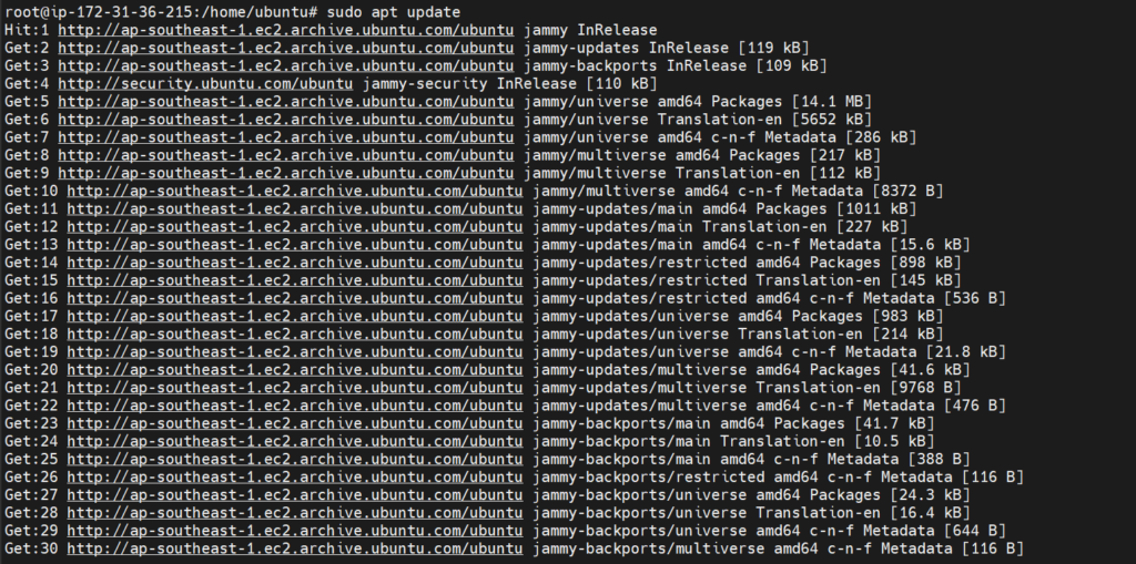 sudo apt update