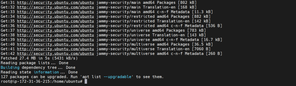 sudo apt update.png1